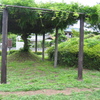 2012/06/10_鎮守の森公園