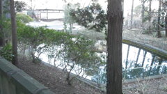 2013/01/26_前玉神社の池