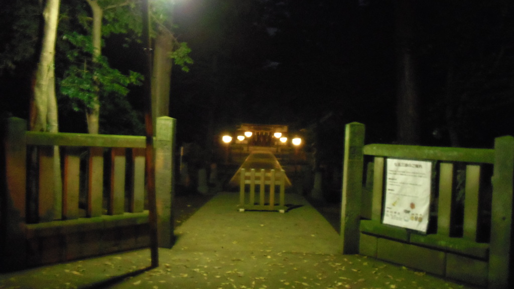2012/11/24_夜の小室氷川神社（没カット）