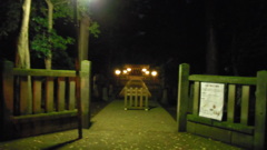 2012/11/24_夜の小室氷川神社（没カット）