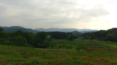 2013/05/25_里山