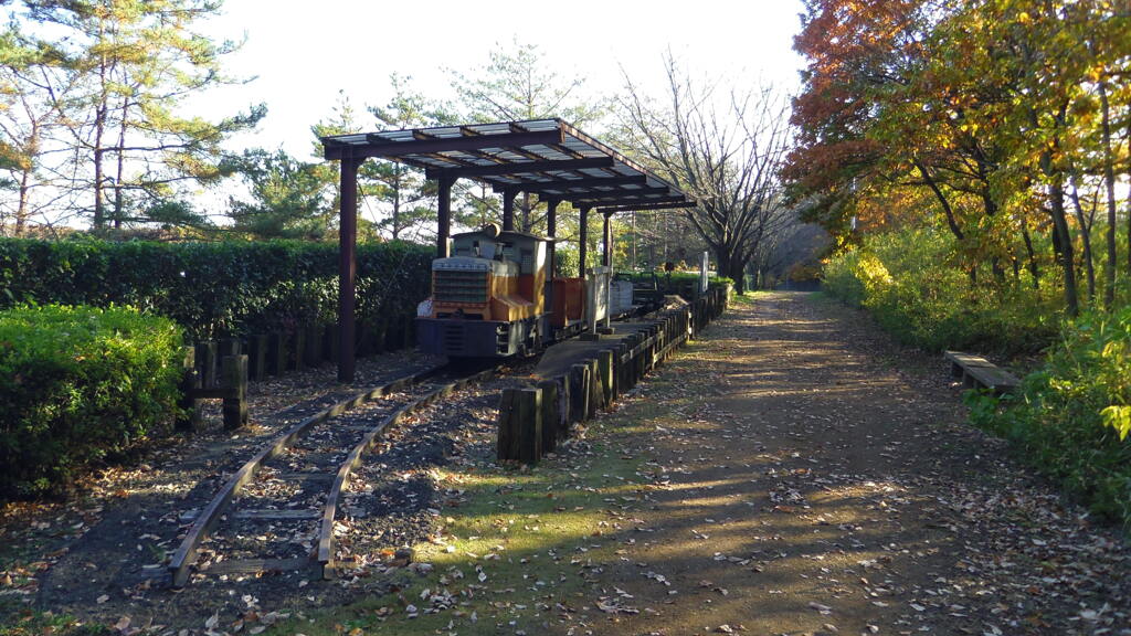 2013/11/30_トロッコ公園 銀河ステーション