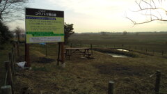 2013/02/02_こうのすコウノトリ郷公園