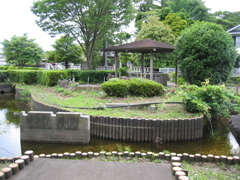 2012/06/10_鎮守の森公園