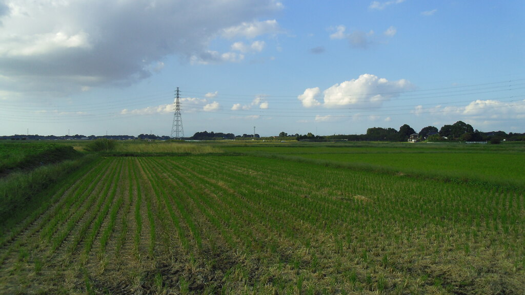 2012/10/08_田園