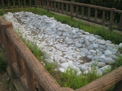 2009/08/22_さきたま古墳公園 稲荷山古墳の後円部