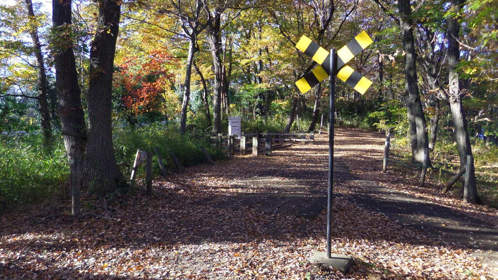 2013/11/30_トロッコ公園 白鳥の停車場脇の踏切