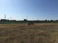 2019/11/10_廃車