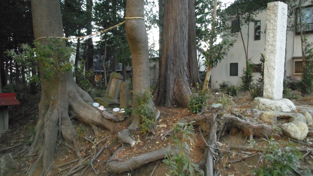 2013/01/03_霞野神社の石碑群