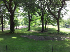 2019/06/16_セントラル・パーク