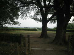 2009/08/22_さきたま古墳公園 丸墓山古墳の頂上