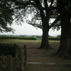 2009/08/22_さきたま古墳公園 丸墓山古墳の頂上