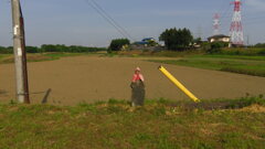 2013/05/18_路傍の石像