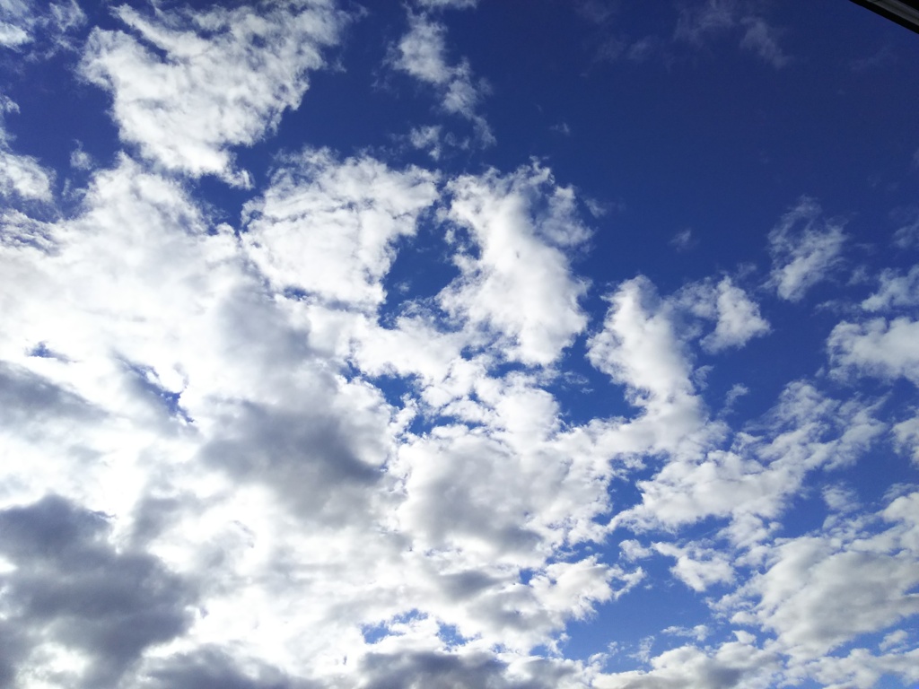 2016/11/09_秋の空