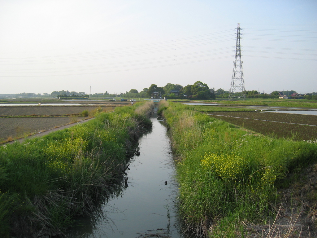 2007/05/05_用水路