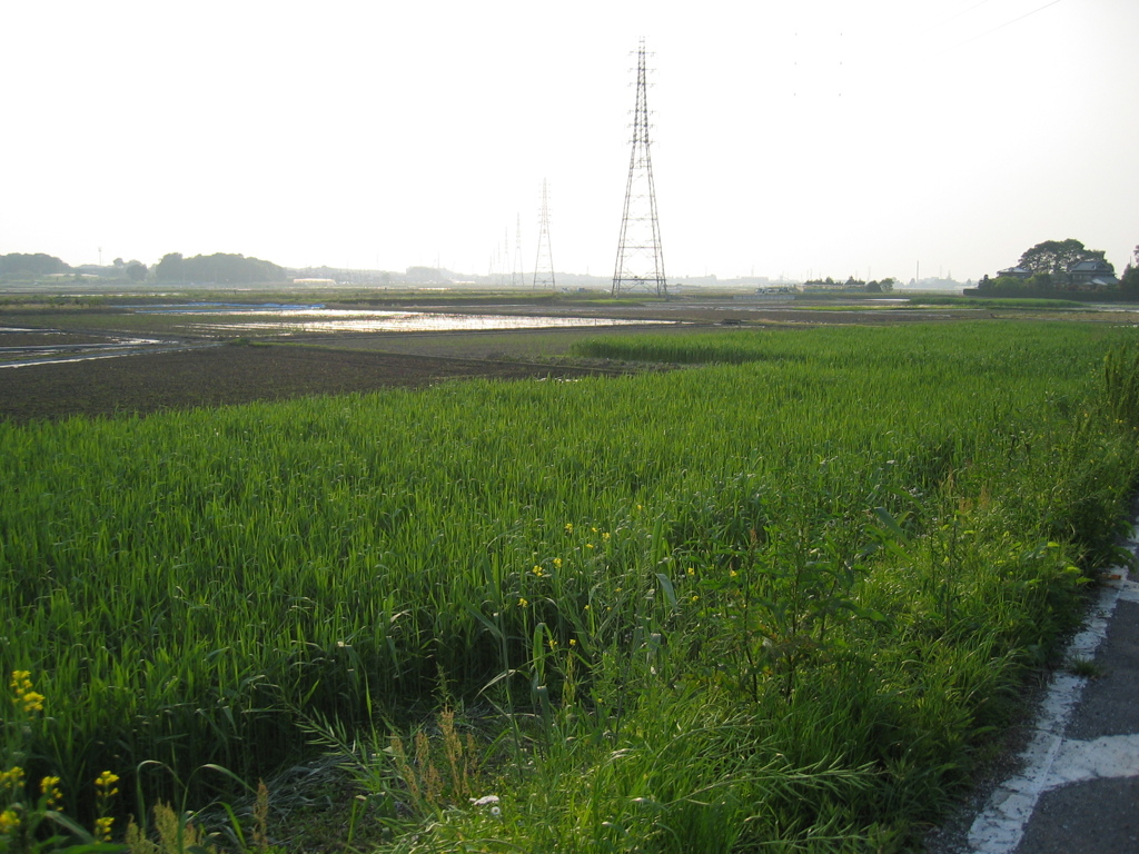 2007/05/05_田園