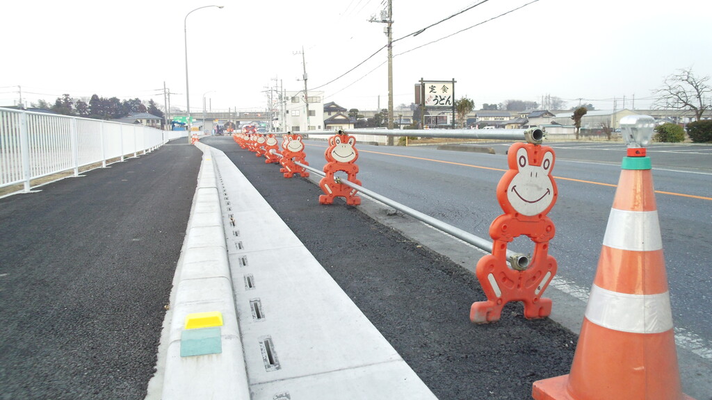 2013/02/02_居並ぶカエルたち