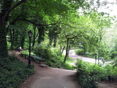 2019/06/16_セントラル・パーク