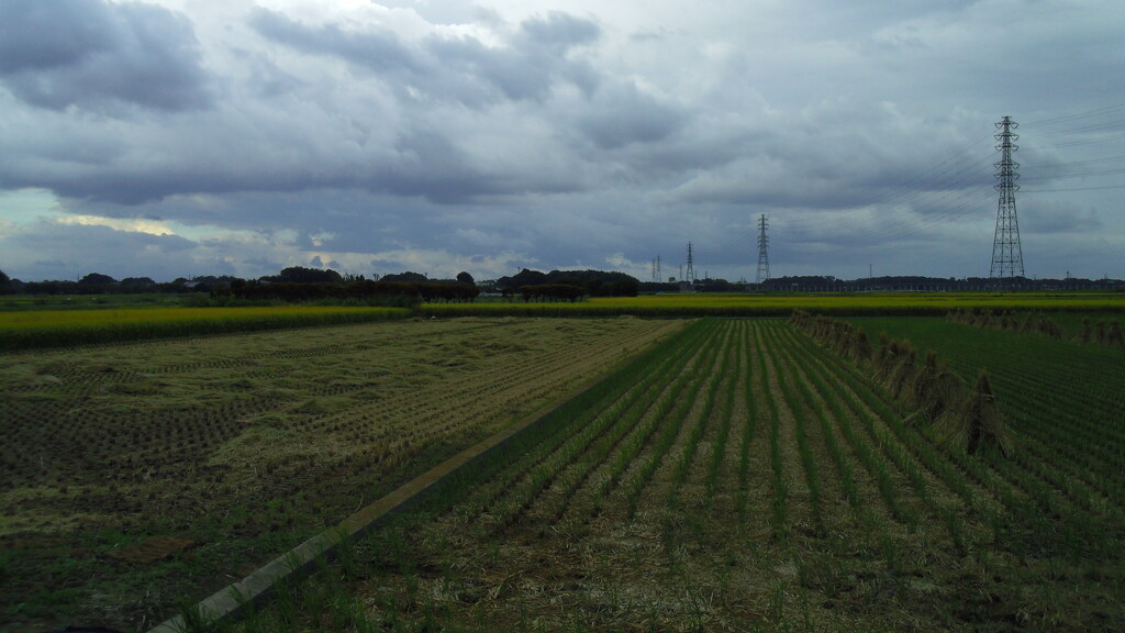 2012/09/30_曇天の田園