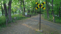 2013/05/05_トロッコ公園 白鳥の停車場脇の踏切