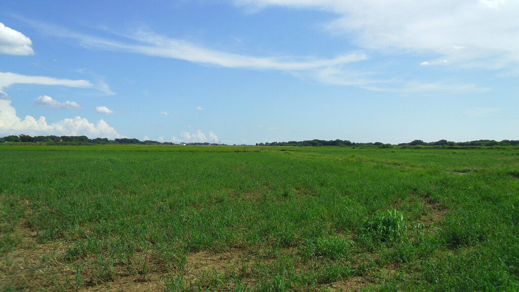 2012/09/09_荒川河川敷