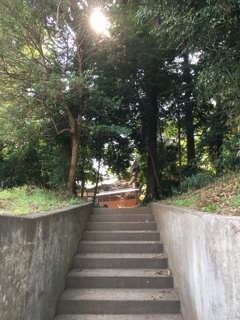 2020/02/29_小室氷川神社の裏階段