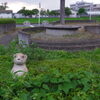 2013/07/07_カワウソ?