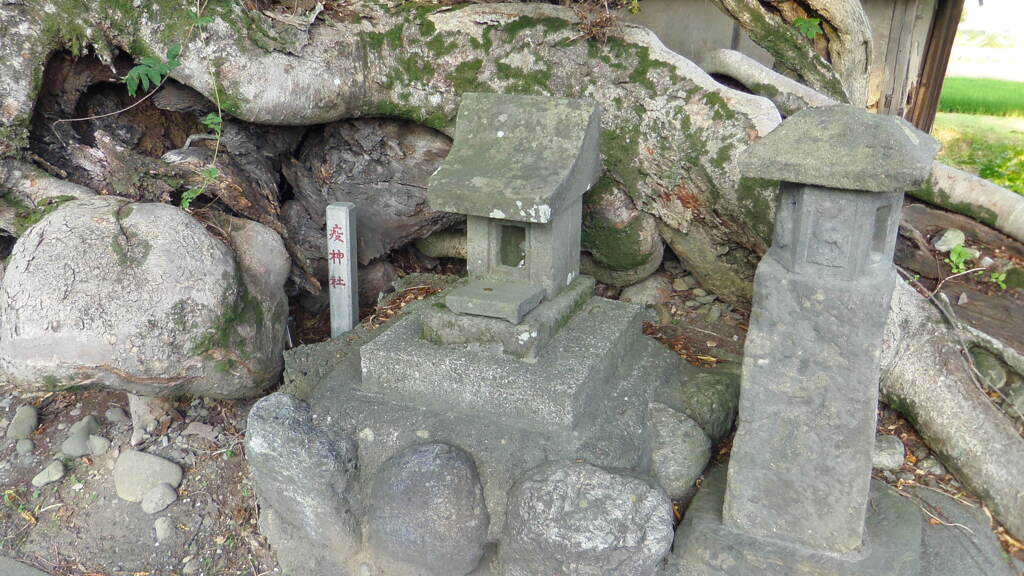 2013/08/03_寺尾の欅の疫神社