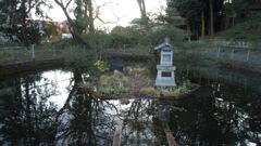 2013/01/26_前玉神社の池