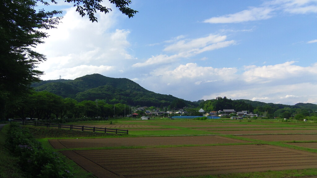 2013/06/22_巾着田と日和田山