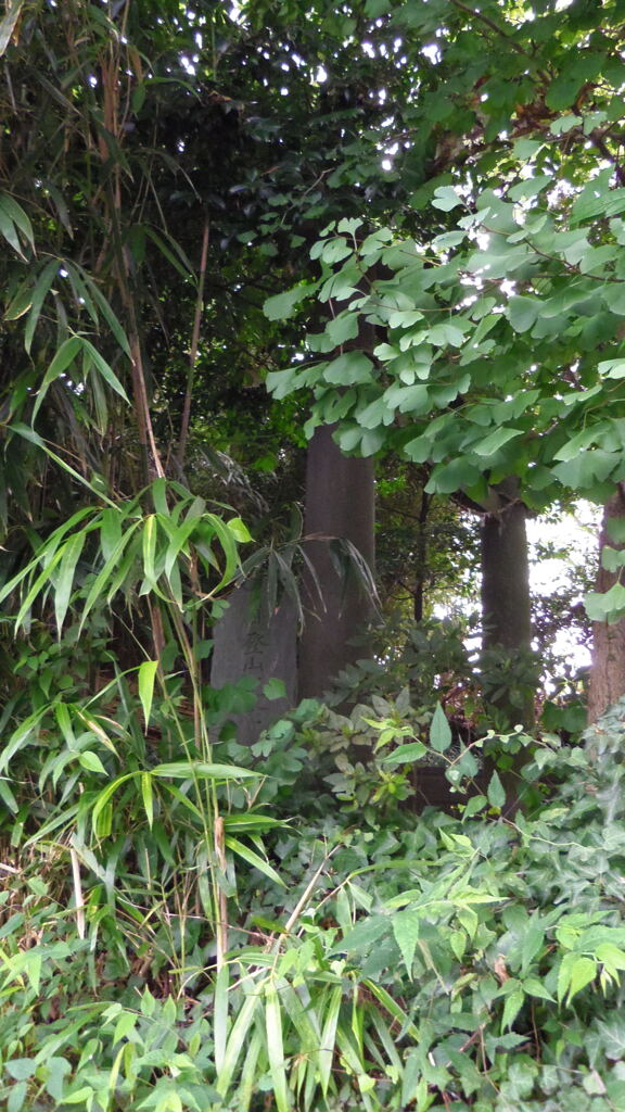 2013/09/07_富士塚?