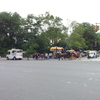 2019/06/14_セントラル・パーク周辺の馬車
