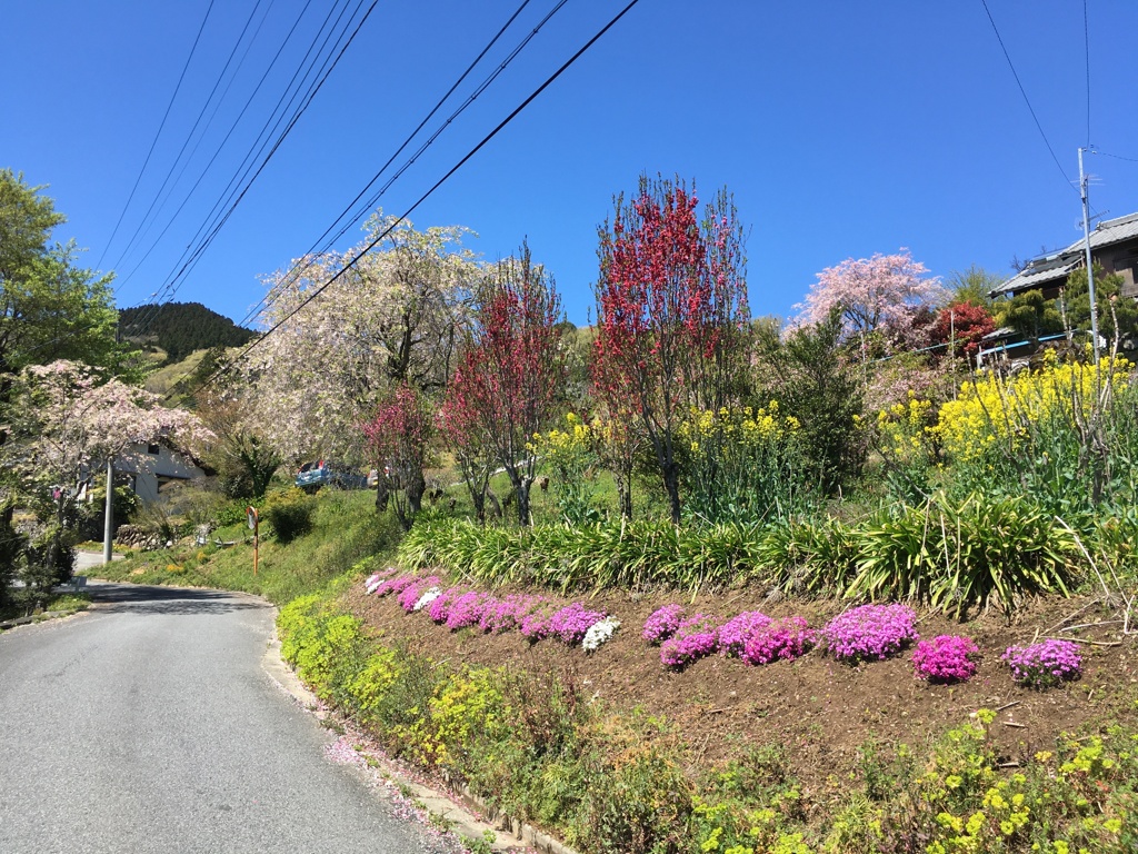 2020/04/19_花桃の郷