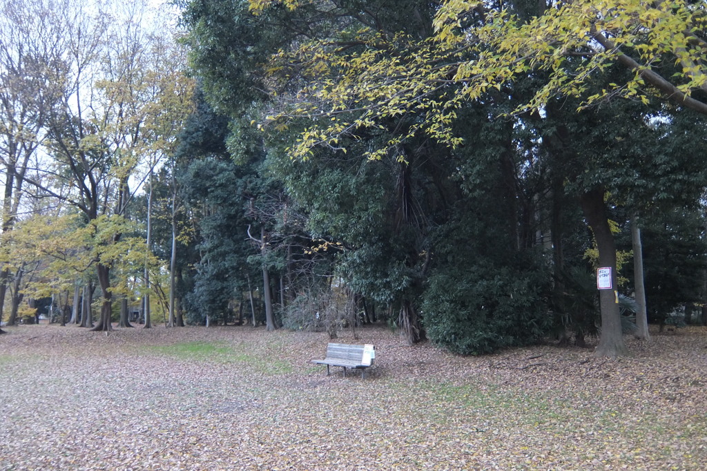 2014/11/30_ふれあいの森401のベンチ