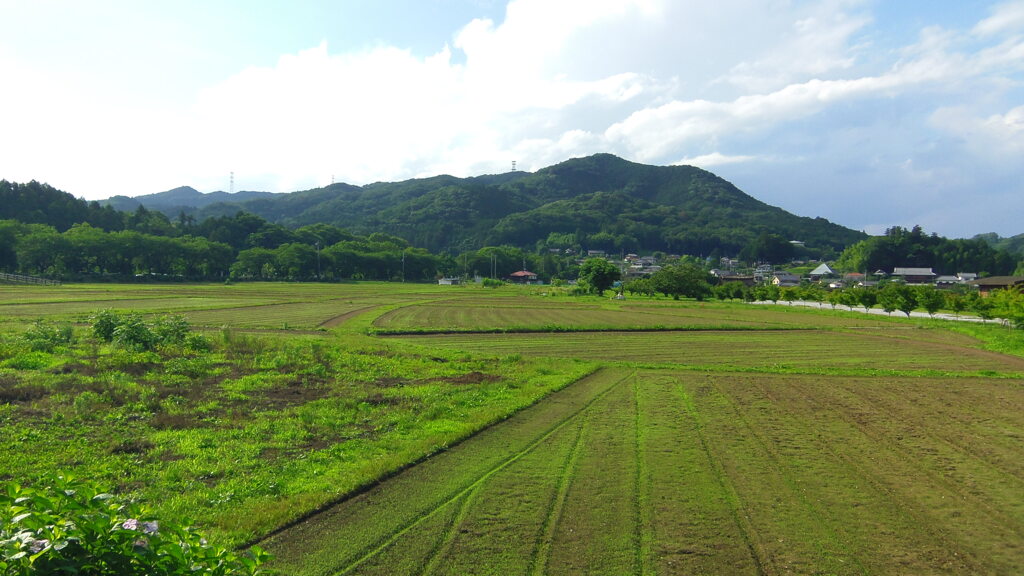 2013/06/22_巾着田と日和田山