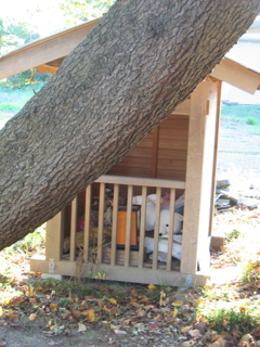 2012/09/15_若一王子社（没カット）