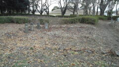 2013/01/26_さきたま古墳公園の石碑群