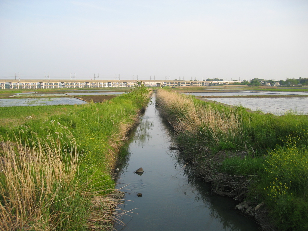 2007/05/05_用水路