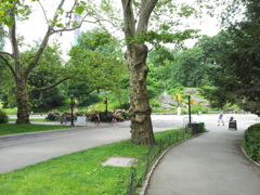 2019/06/16_セントラル・パーク