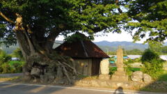 2013/08/03_寺尾の欅と廃屋と石碑群
