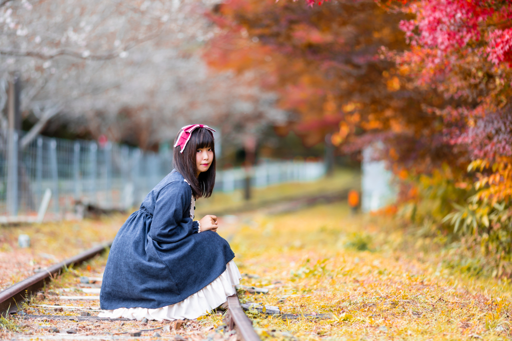 紅葉と四季桜と少女