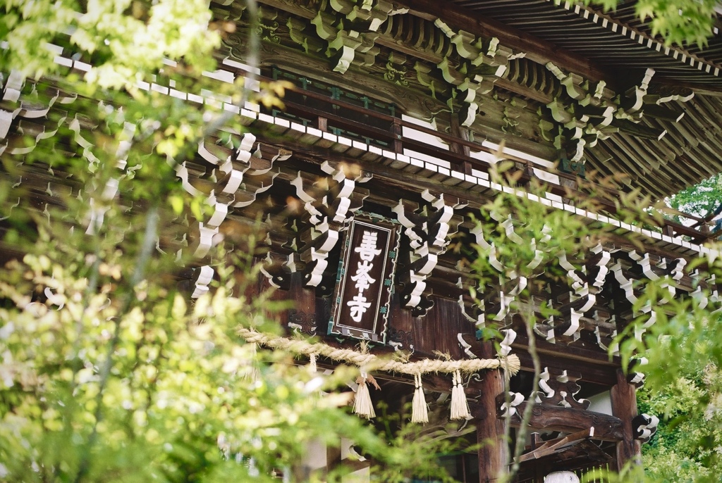 新緑の善峯寺