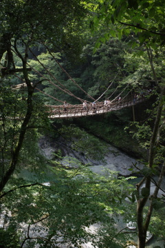 祖谷のかずら橋