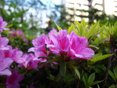 BD554261-3F8F-480B-B58E-3B54FFCD00B2
