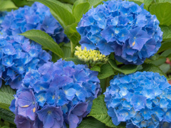 055D3877-600C-43DD-9D89-4636277D3F88