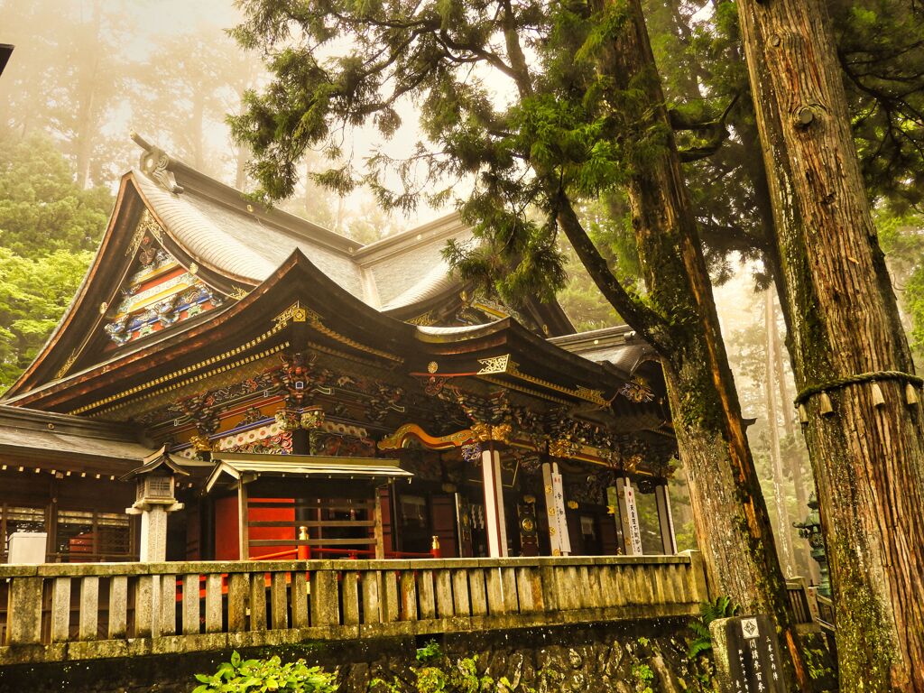 三峰神社と御神木