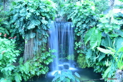 夢の島公園の滝