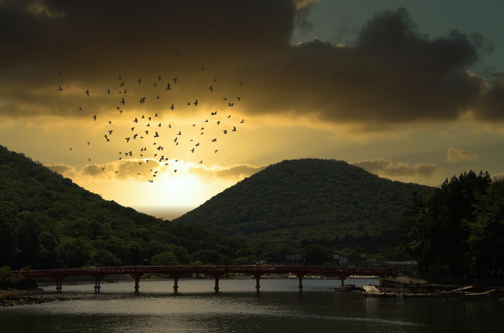赤城神社の橋をﾊﾟｼｬﾘ