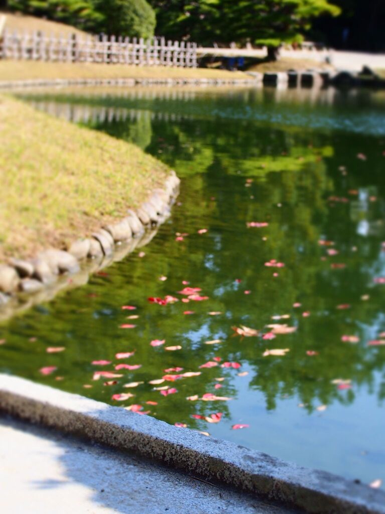 高松で