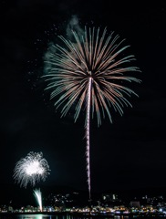 夜空に咲く花